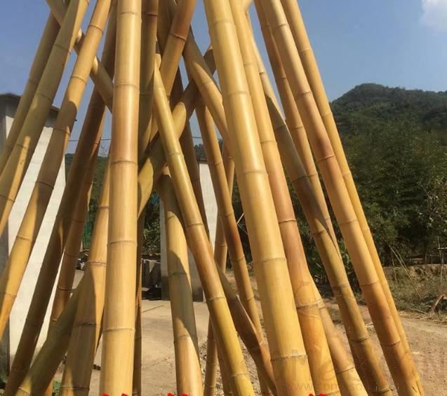 Decorative Bamboo Pole, Bamboo, D8cm*H3m