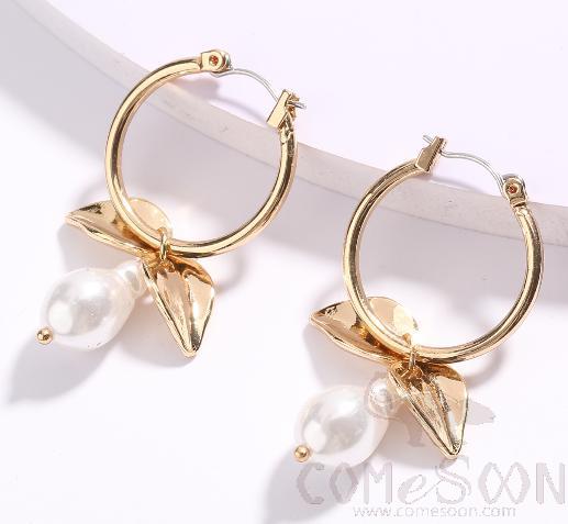 Earring / Dangler / Eardrop / Jewelry Ne029 product image