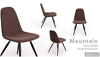 Dining Chair C209