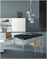 Dining Chair