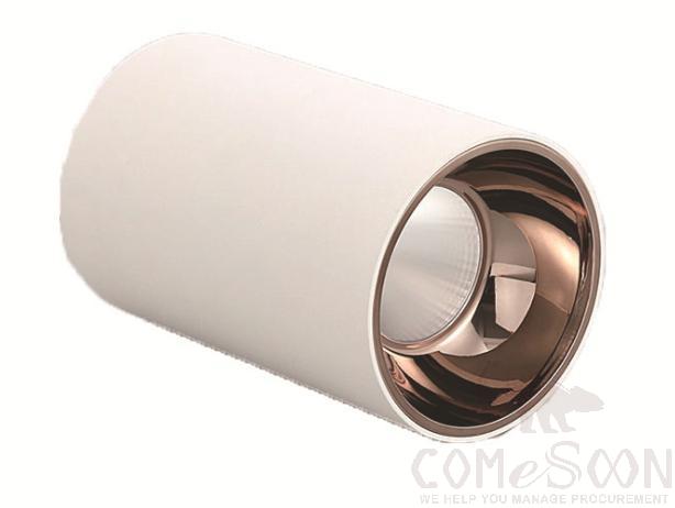 White Shell Downlight-White Cup 6000k-20w