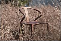 Magnolia Chair
