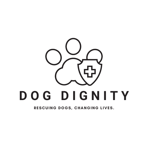 Client Partner Logo