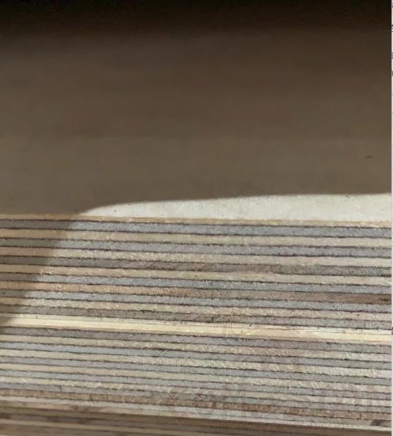 Marine Plywood - Birch
2440*1220*18mm