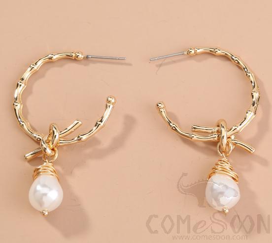 Earring / Dangler / Eardrop / Jewelry Ne763
