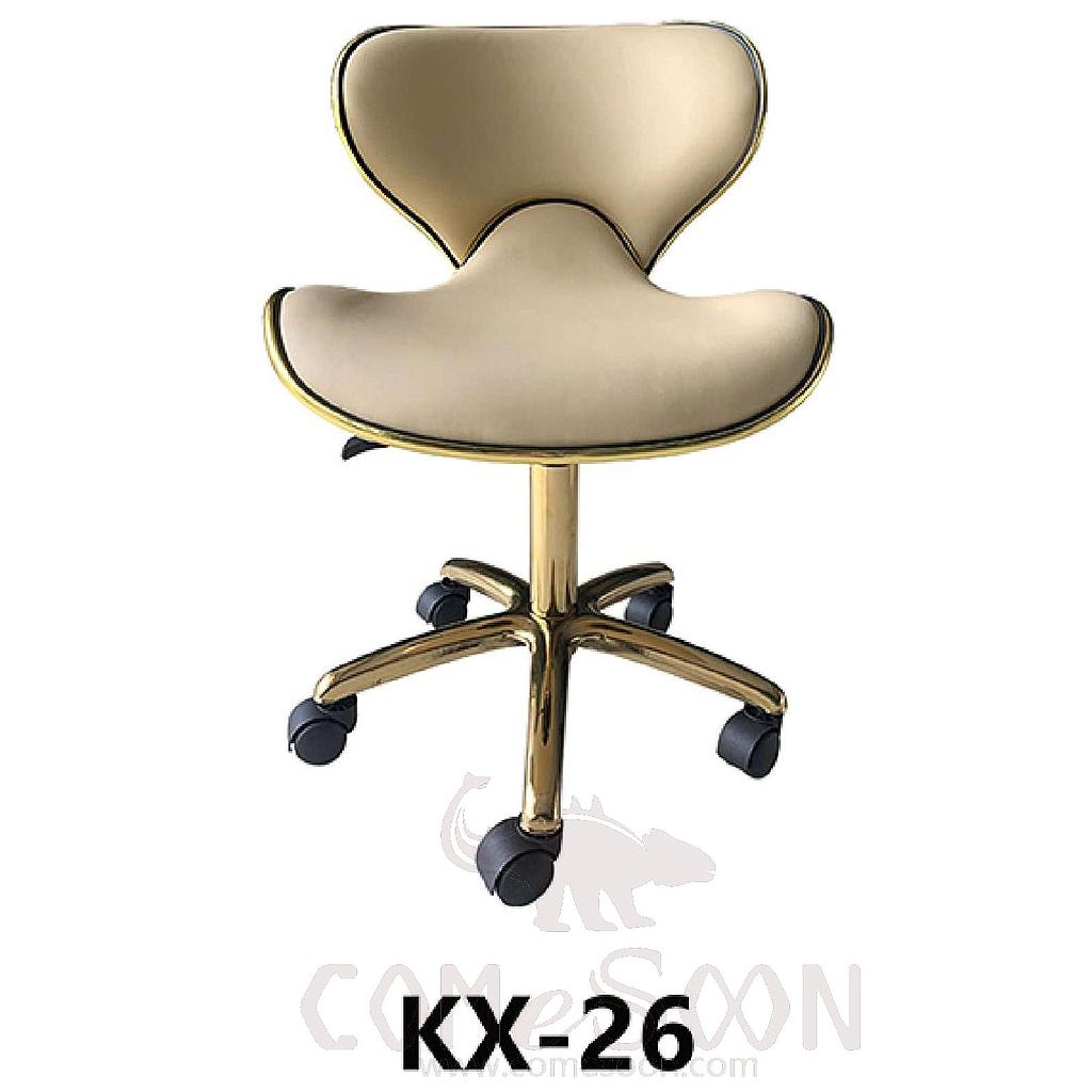 Salon Chair