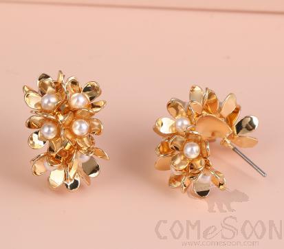 Earring / Dangler / Eardrop / Jewelry Ne800
