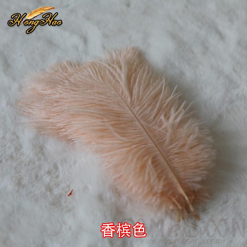 Colored Ostrich Feathers, L15-20 cm