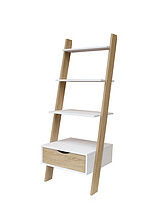 Ladder Stay