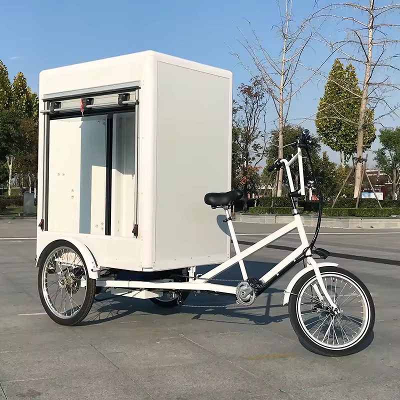 Rolling Gate Human-Powered Tricycle, Iron and Stainless Steel, 217*118*200cm