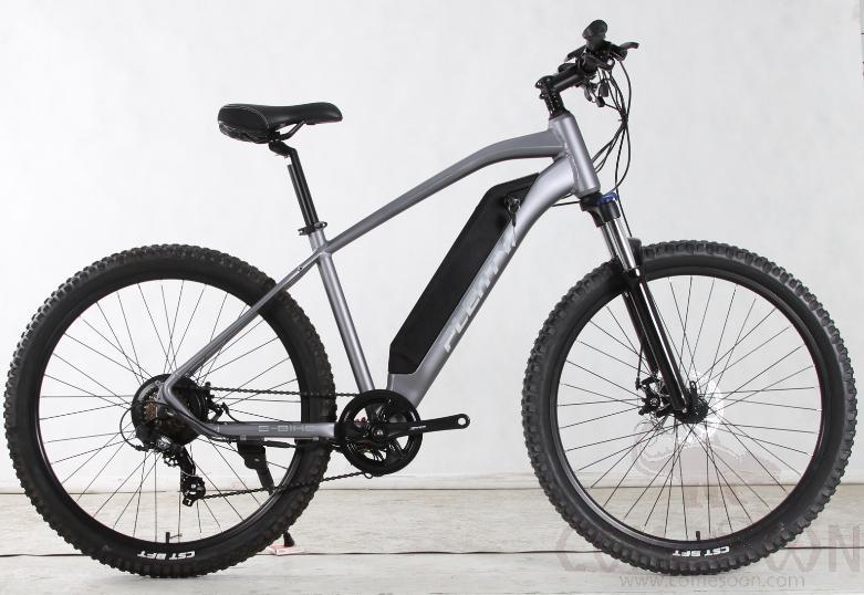 Electric Bicycle, 750w, 48v 10ah, 27.5", Style 1