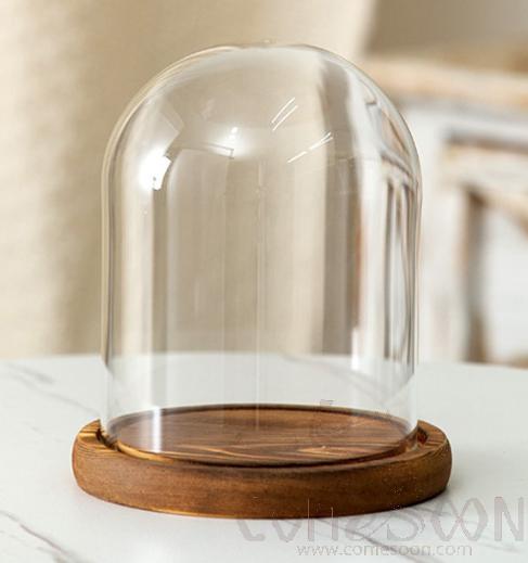 Glass Cover with Wood Base D12*16cm
