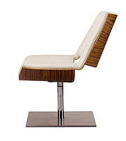 Lounge Chair