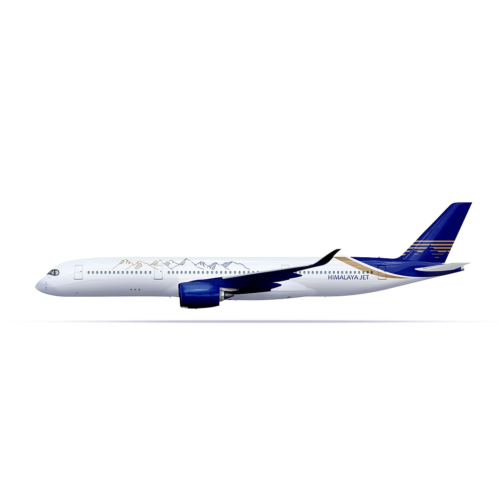 Model Aircraft B787, 43cm