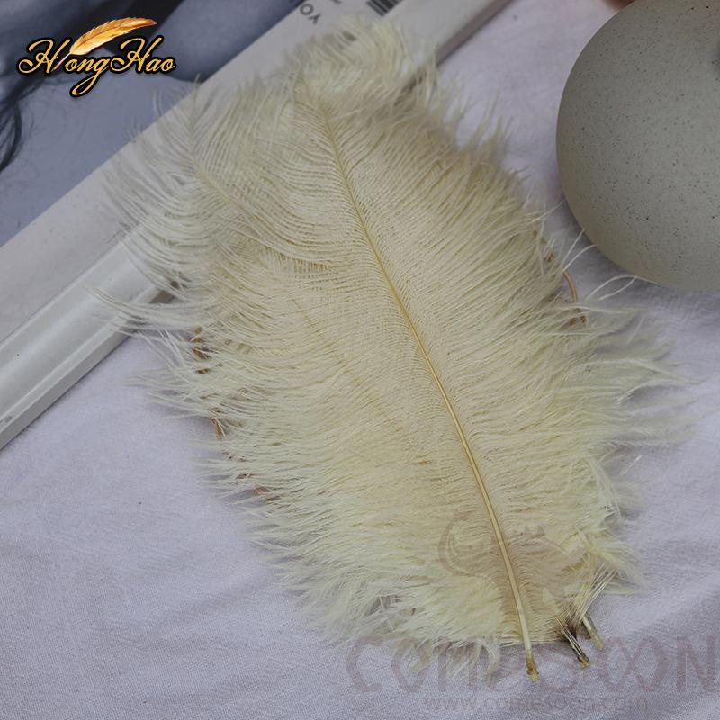 Colored Ostrich Feathers, L15-20 cm