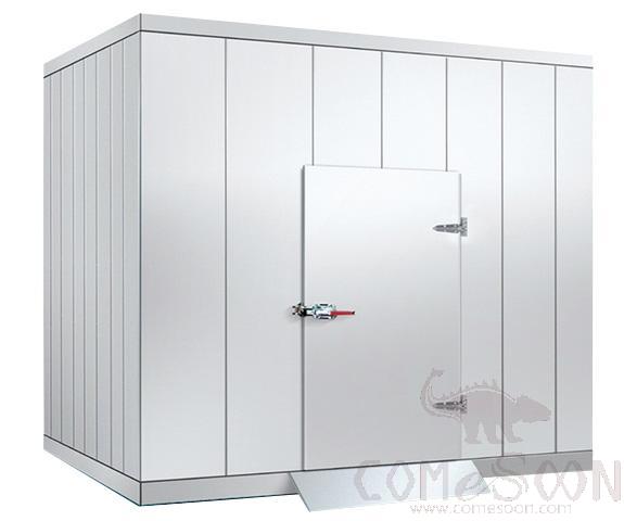 Veg & Fruit Walk in Chiller with Split Cooling Unit 3 Phase 380v