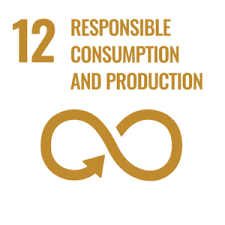 SDG 12 Image