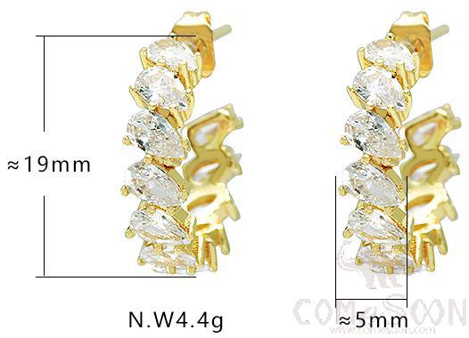 Earring / Dangler / Eardrop / Jewelry
Xye103837