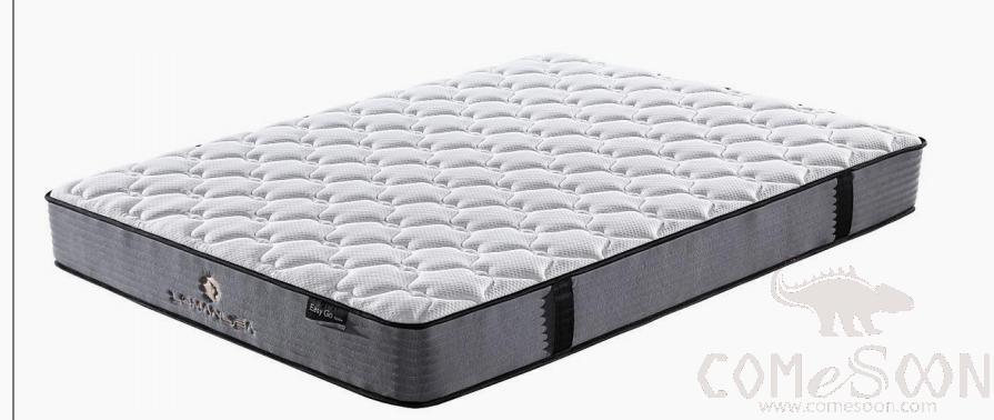 Double Mattress, W100*L210*H20 cm