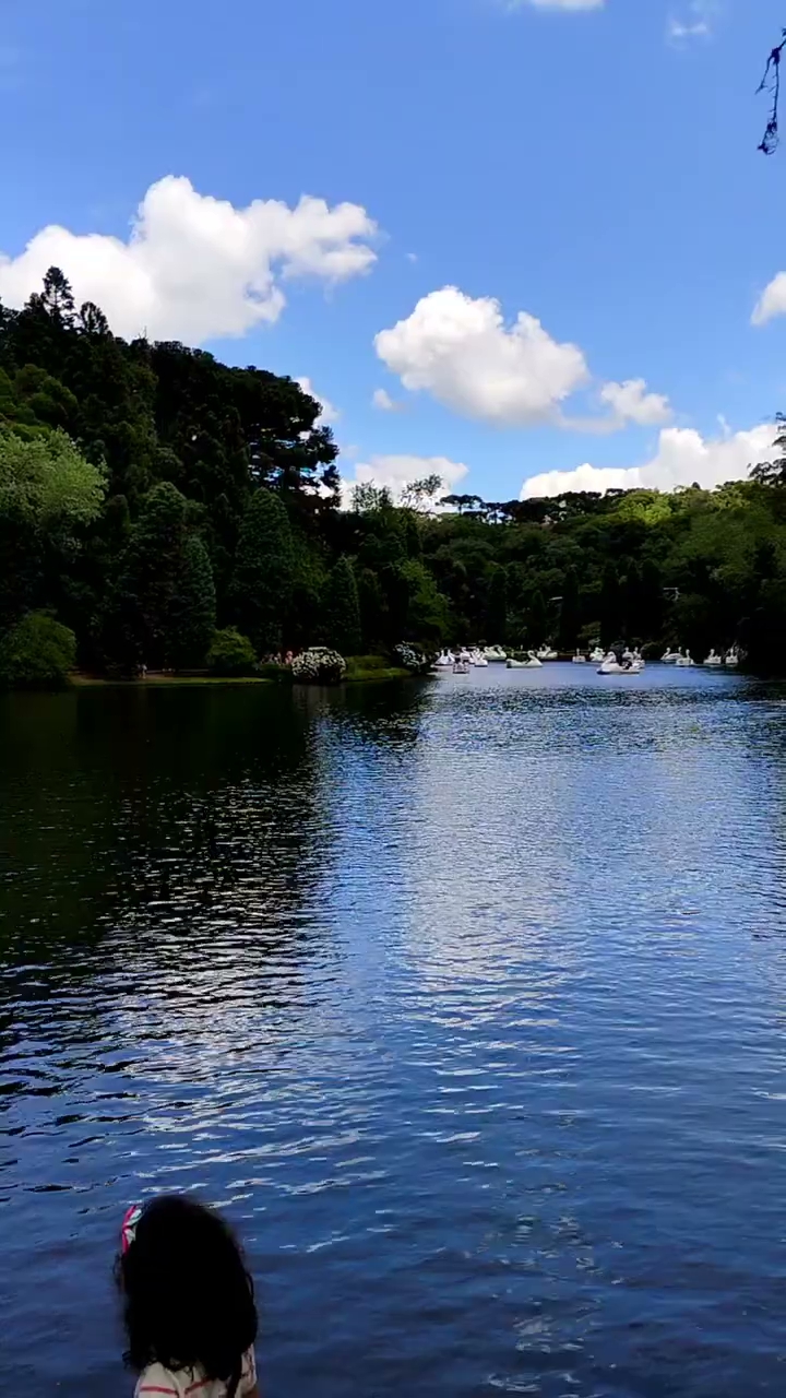 Vídeo: Boa tarde à beira do lago
