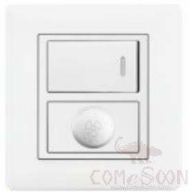 Half 1 Gang Switch+ Speed Switch