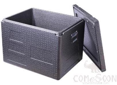 Grey Insulated Box, with Nickel-Plated Handle, PP, 126L