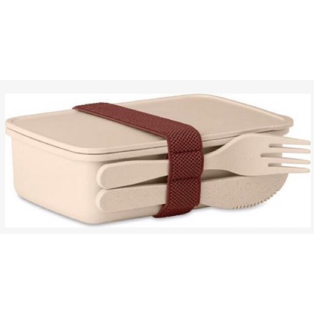 Customized Dinner Box, 16*11*5cm, 600ML