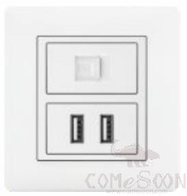Half Computer+ 2 Usb Socket
