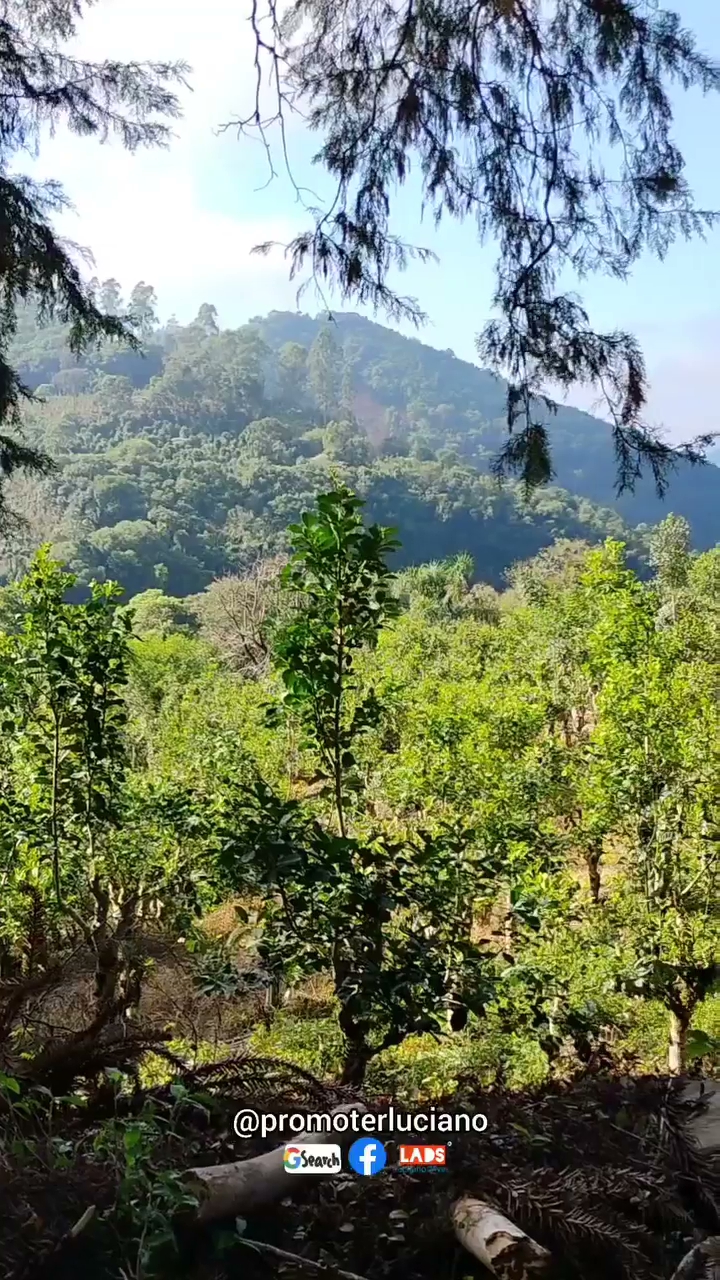 Vídeo: Um pouquinho da primeira parte da visita ao Peu do Facão em Arvorezinha