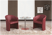 Living Room Chair