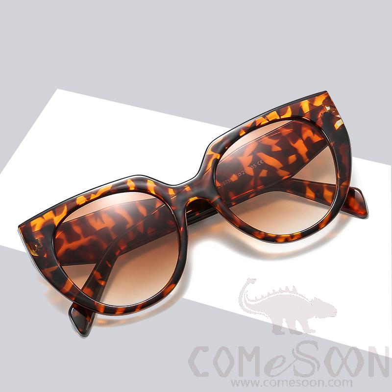 Sunglasses (for Women)