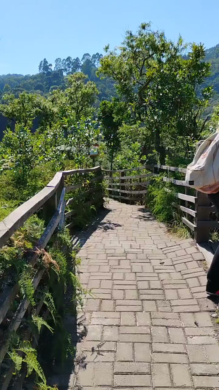 Vídeo: Aproveitando o domingo para apreciar a natureza. Um pouco de trilha faz bem para a saúde, especialmente em um lugar como esse