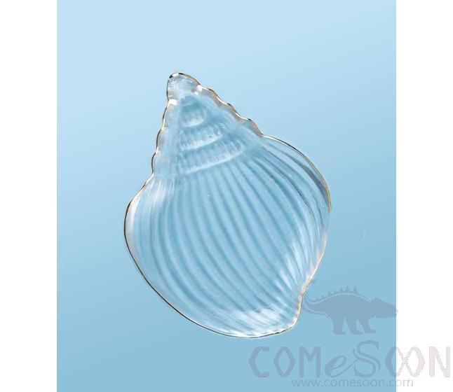 20cm Conch Plate - Gold Rim product image