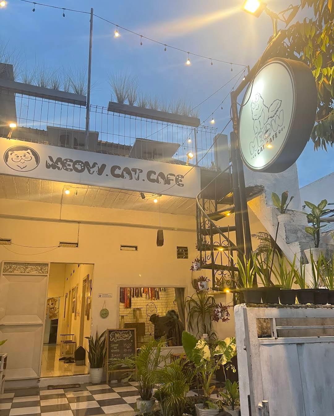 Interior Meow Cat Cafe Malang