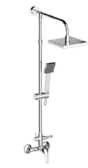 multifunctional shower
