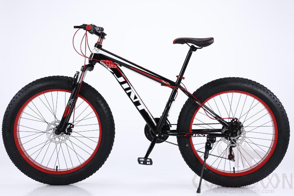 Snow Bike, 26"