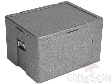 Grey Insulated Box, with Nickel-Plated Handle, PP, 66L