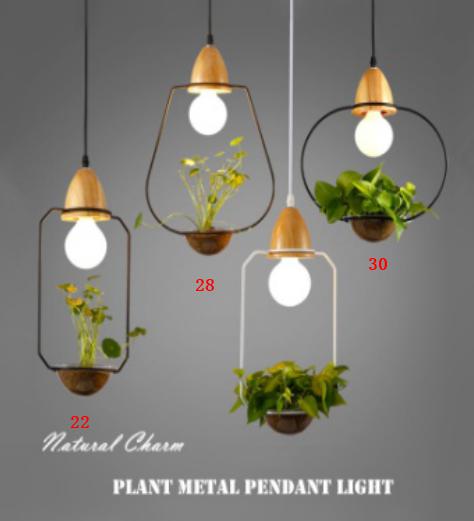 Chandelier product image