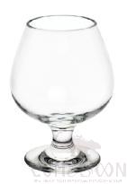 PC Champagne Glass 260ML