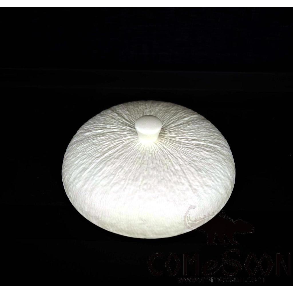 20118 Series 6" Coconut Cup Lid - Matt White