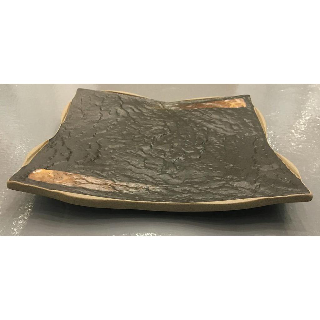 Health Series-Square Plate 9"