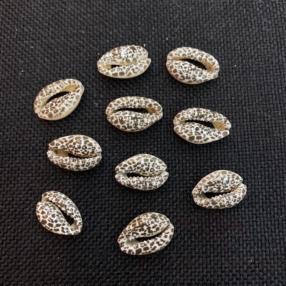 Printed Natural Conch Jewelry Accessories