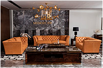 Ak-S556 Leather Sofa