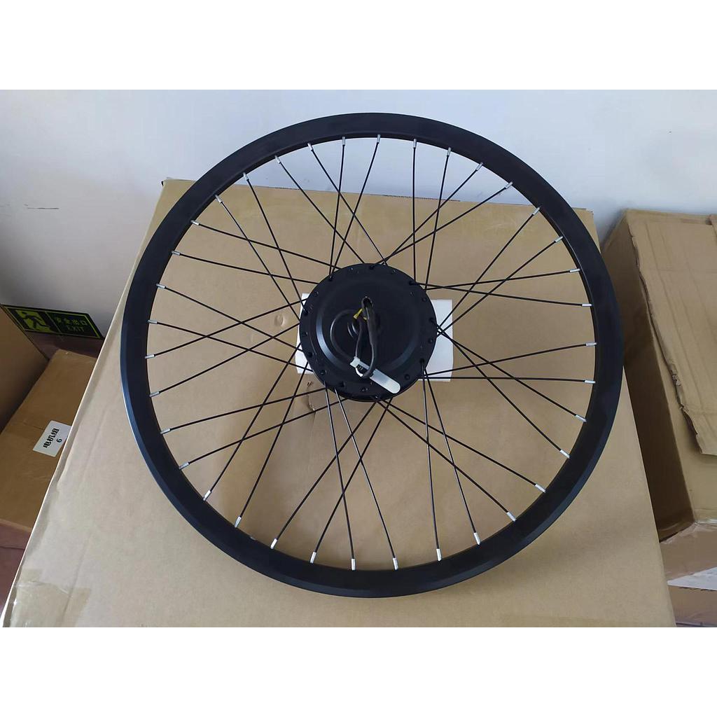 Mountain Bike-Motor Wheel