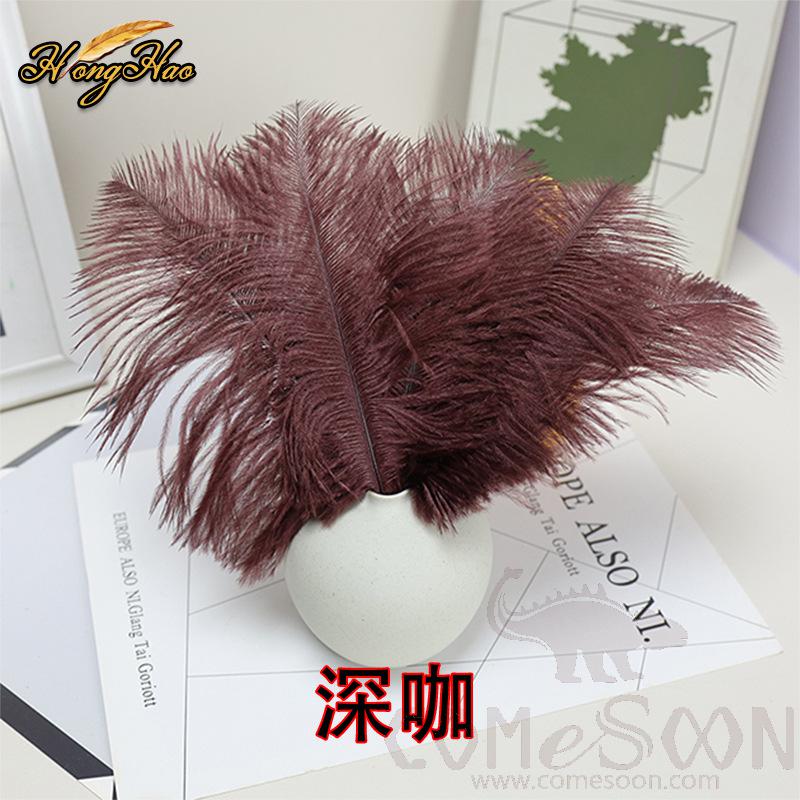 Colored Ostrich Feathers, L20-25 cm