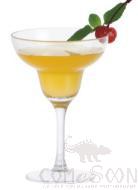 PC Cocktail Glass 255ML