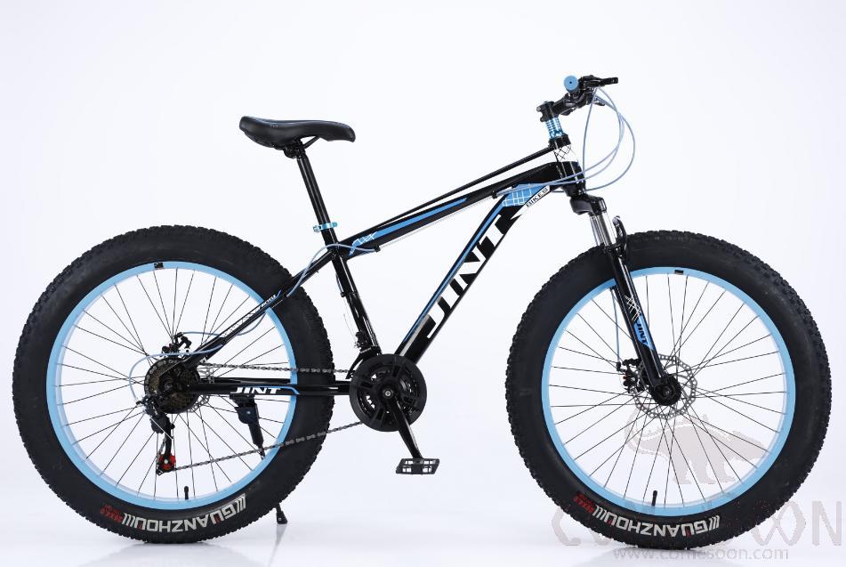Snow Bike, 26"