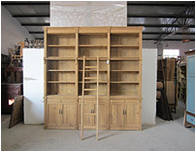 European Bookcase