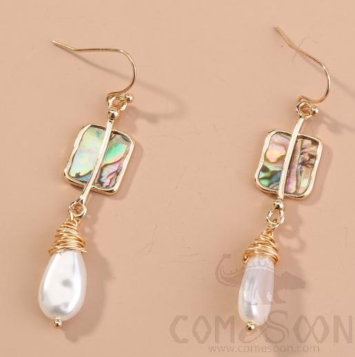 Earring / Dangler / Eardrop / Jewelry Ne754