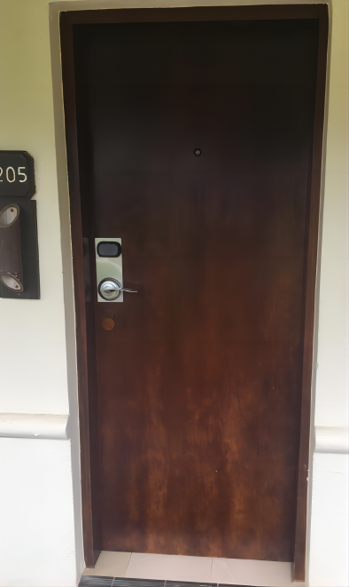 Room Entry Door, 850*2020*150mm, Left